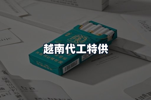越南代工特供